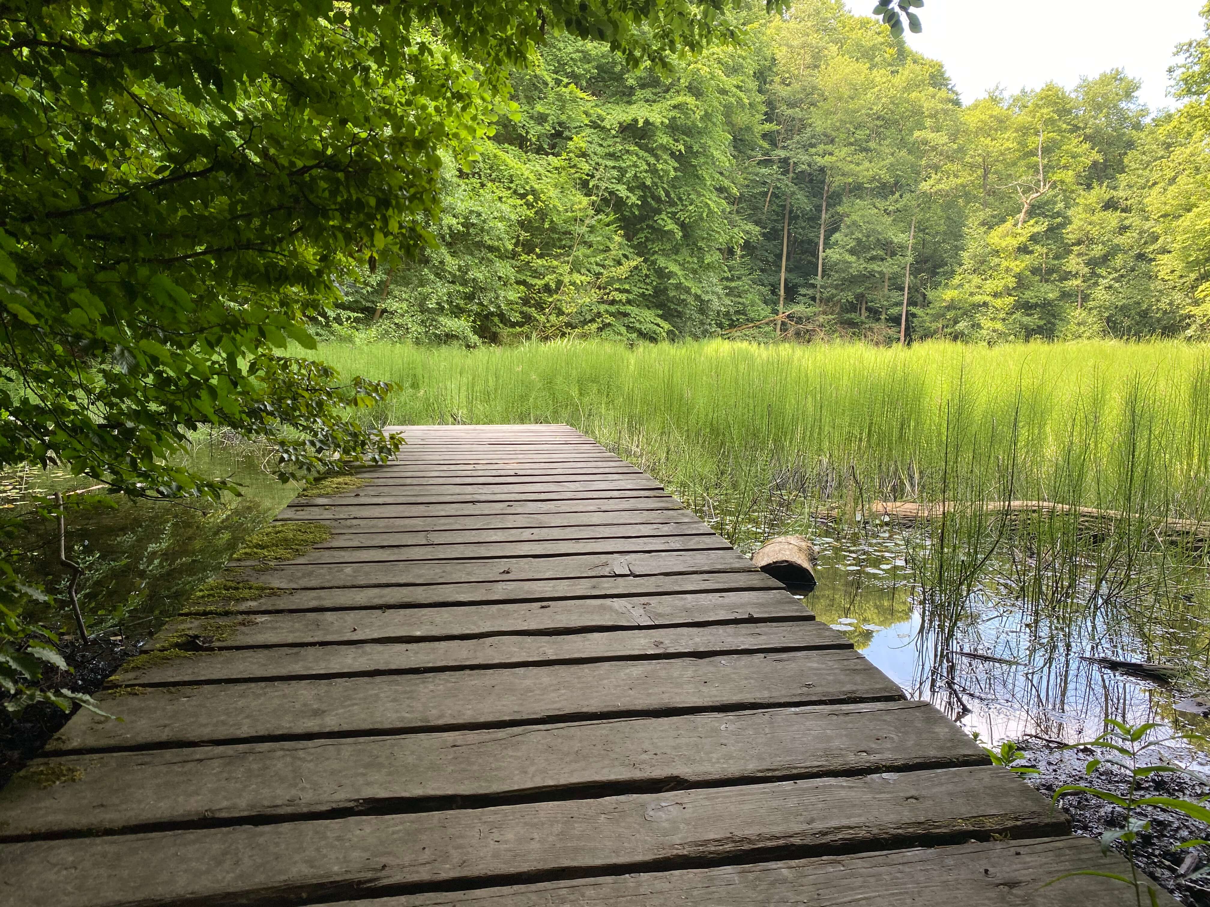 RätselRanger – Outdoor-Rätselwanderung - Zwischen Wildnis und Welterbe