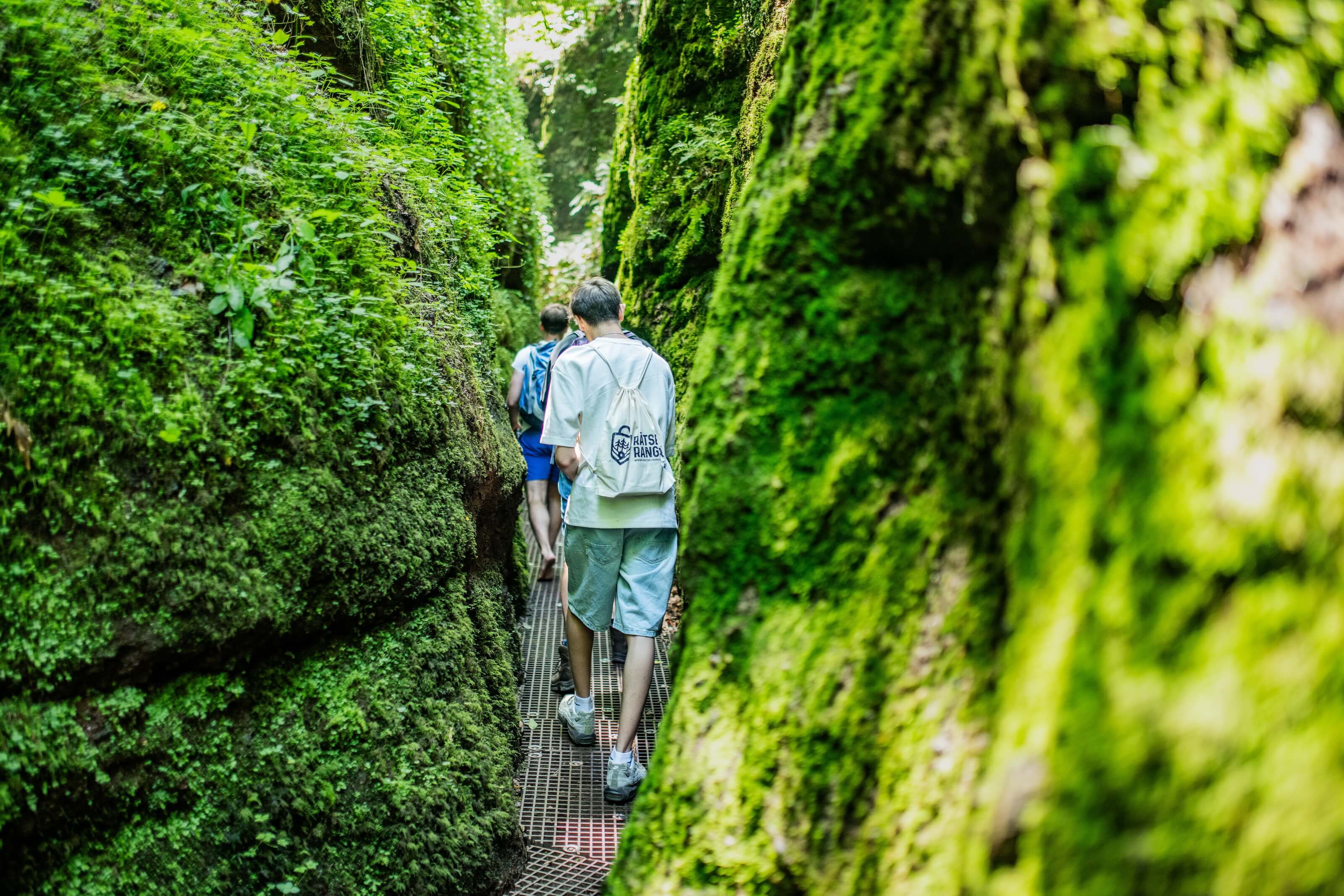 RätselRanger – Outdoor-Rätselwanderung - Am Fuße der Wartburg